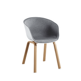 Arlo-B Modern Minimalistic Fabric Upholstered Plastic Dining Chair